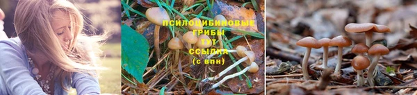 бошки Абаза