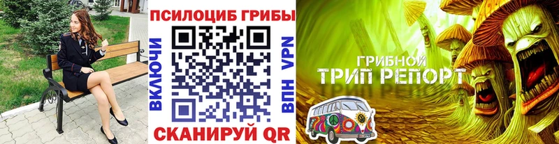дарк нет клад  закладка  Трёхгорный  Псилоцибиновые грибы Magic Shrooms 